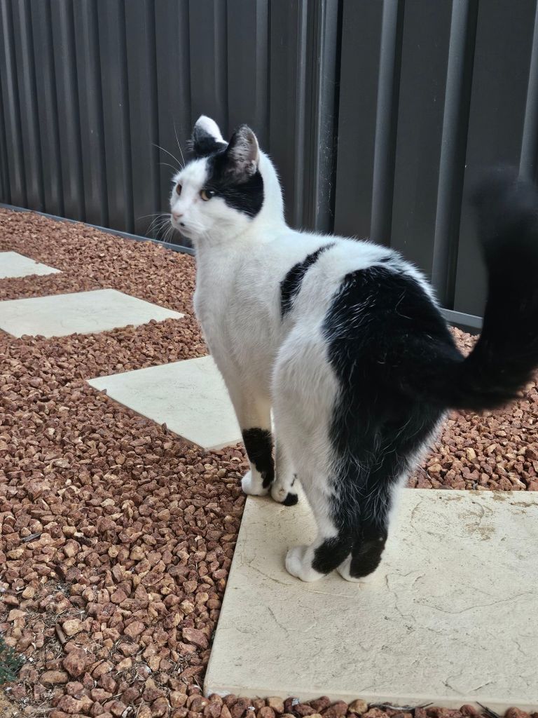 20250121_0530475788278769024643364